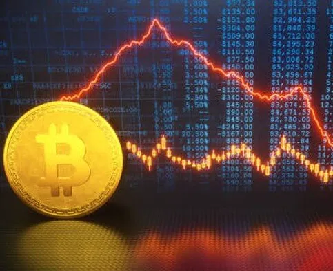 Fenvotrix - Elevate Your Economic Health with Fenvotrix